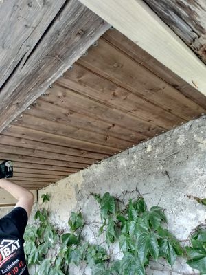 Plafond du retour de la facade