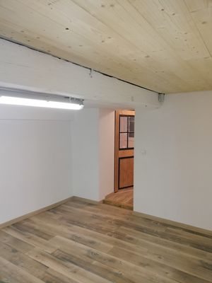 Faux plafond, parquet, peinture